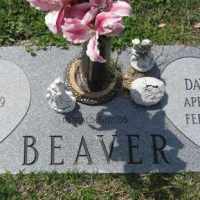 David Ray Beaver (1966–2006) • FamilySearch