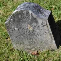 Elizabeth Matilda Cook (1828–1913)