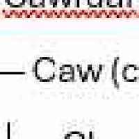 King Caw ap Cawrdaf (0540–)
