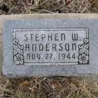 Stephen Wayne Anderson (19441944) • FamilySearch
