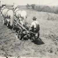 Louis Edward Sustersic (1881–1968) • FamilySearch
