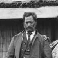 Te Rerenga Hone Wetere (1834–1889)