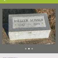Baltzer Schaub (1842–1929)