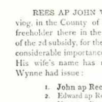 Rees ap John Wynne (1538–1592)