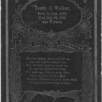 Tandy Cheadle Walker (1839–1910)