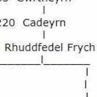 Rhuddfedd Frych ap Cadeyrn (0250–0300)