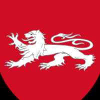 Ailill mac Dúnlainge, King of Leinster (04350530)