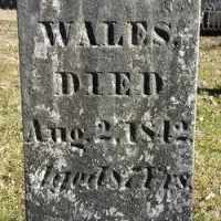 Eleazer Wales (1755–1842)