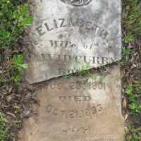 Elizabeth A. Sparks (1801–1883) • FamilySearch