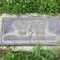 David John Sprong Sr. (1936–2002) • FamilySearch