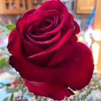 Landolfo di Capua e Benevento II (09180961) • FamilySearch