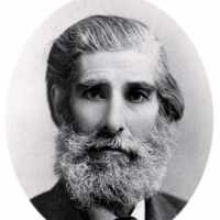 David Adams (1828–1911)