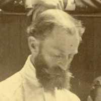 David William Cheever (1831–1915)
