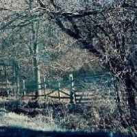 Cornelius Teal Hurley (1838–1920)