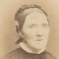 Anna carbentus hotsell