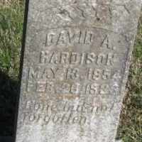 David Allen Hardison (1854–1933)
