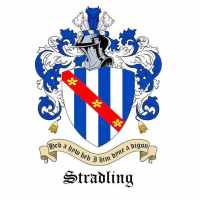Edward Stradling (1330–1375)