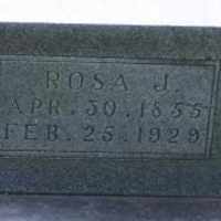Rosetta Jane Cook (1855–1929)