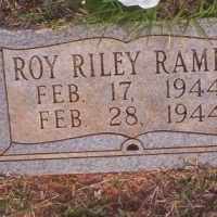 Roy Riley Rambo (1944–1944) • FamilySearch