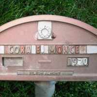 Cora Elizabeth Stover (1862–1920) • FamilySearch