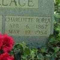 Charlotte Rorex (1867–1954) • FamilySearch