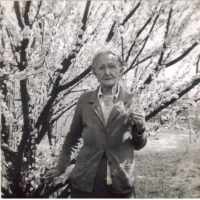 Sarah Jane Shull (1871–1959)