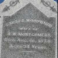 Sarah Daniels Woodward (1839–1874)