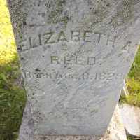 Elizabeth A. White (1829–) • FamilySearch